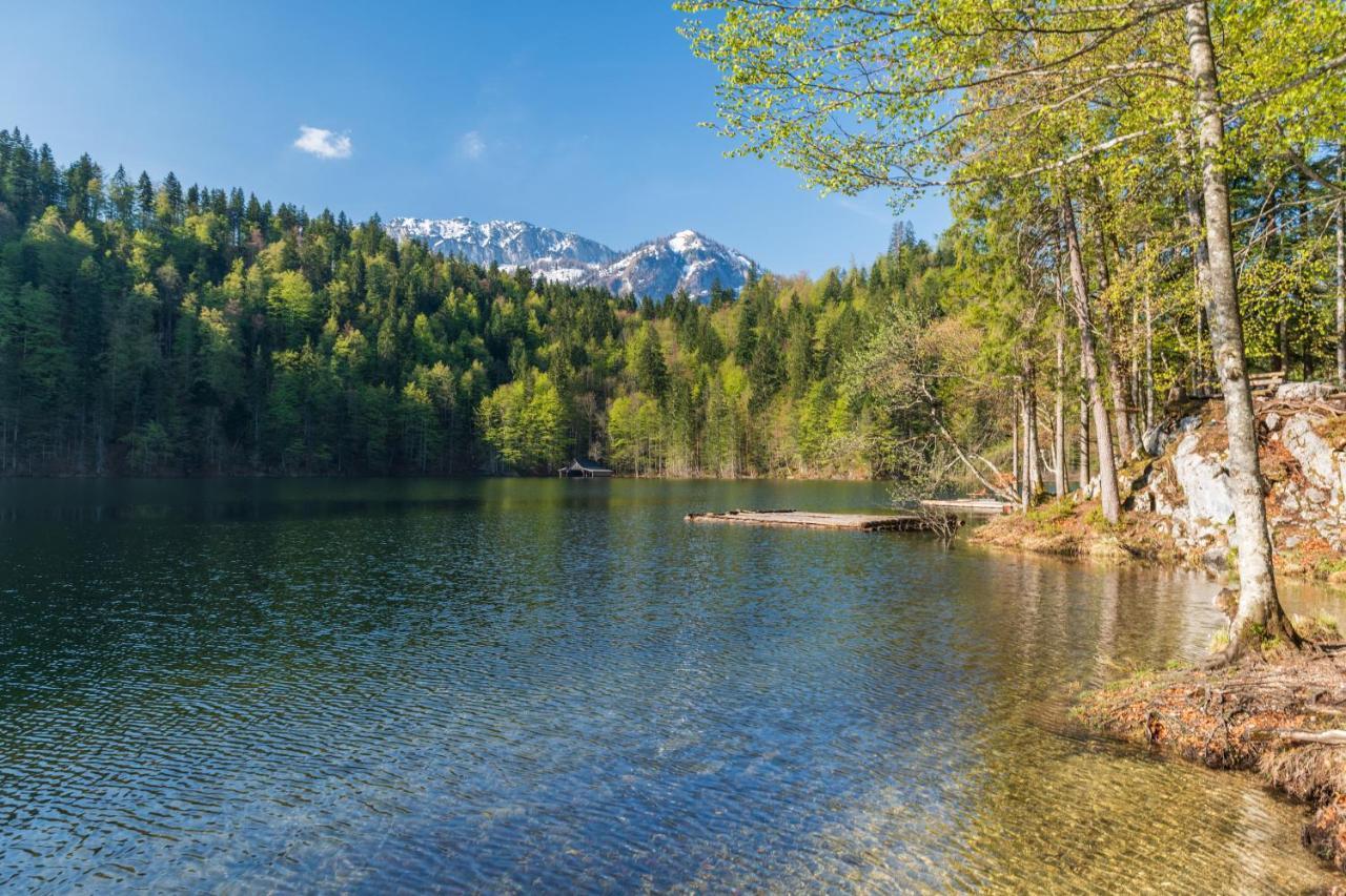 Alpenparks Hagan Lodge Альтаусзее Экстерьер фото